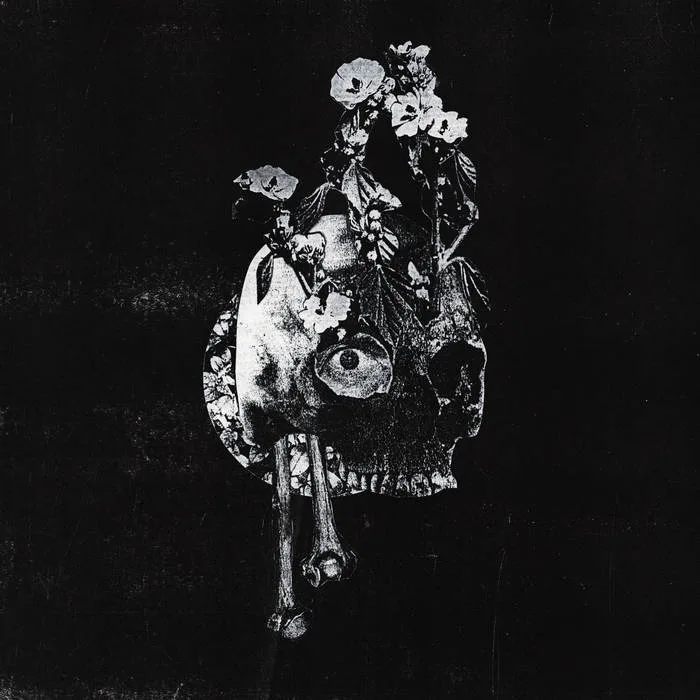 Phantom Dreams cover