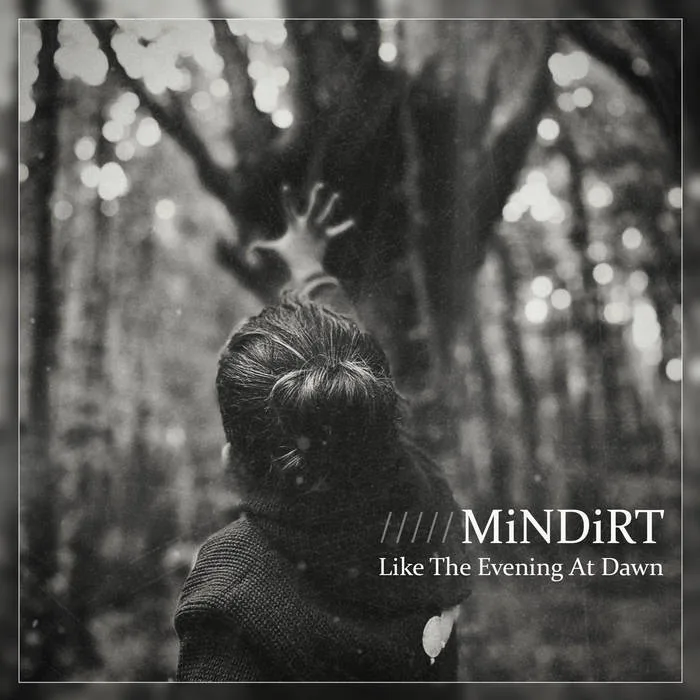 Like the Evening at Dawn cover