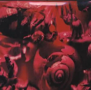 The Fall / Reload cover