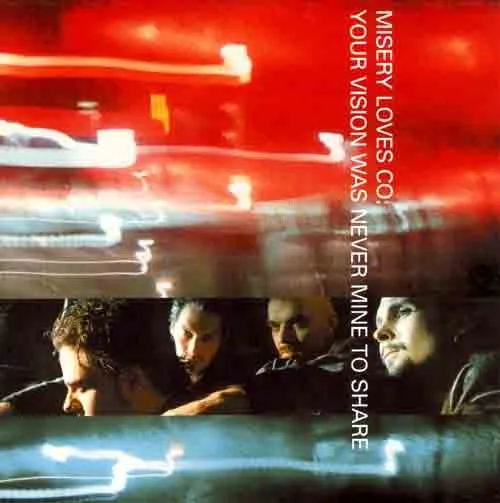 Your Vision Was Never Mine to Share cover