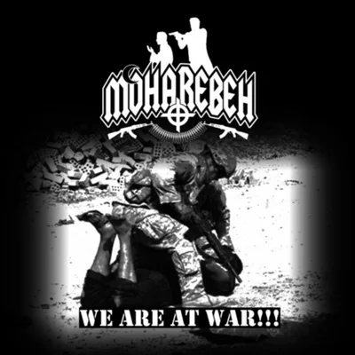 We Are at War!!! cover