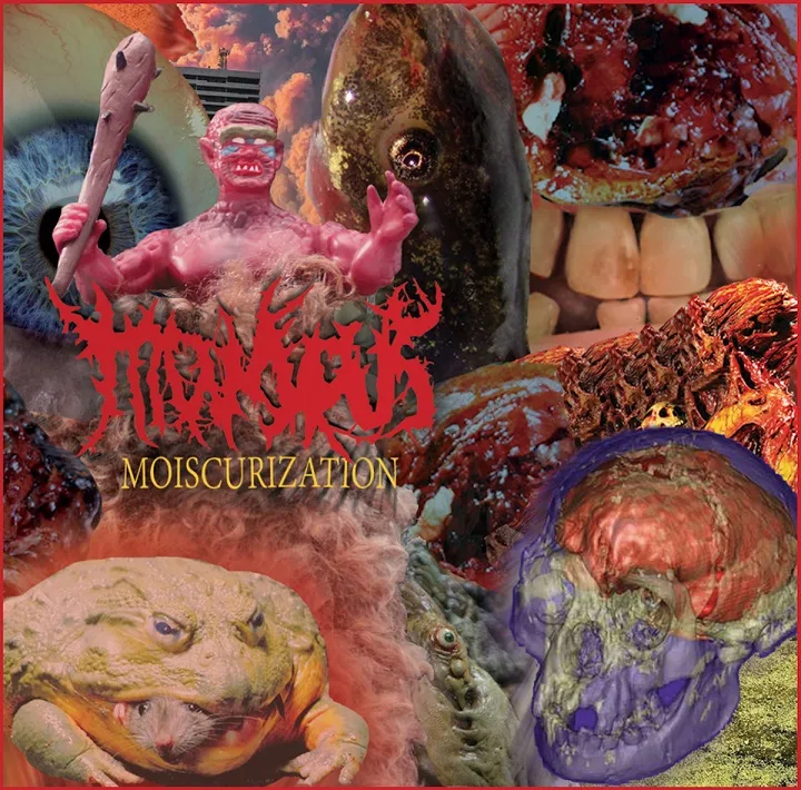 Moiscurization cover