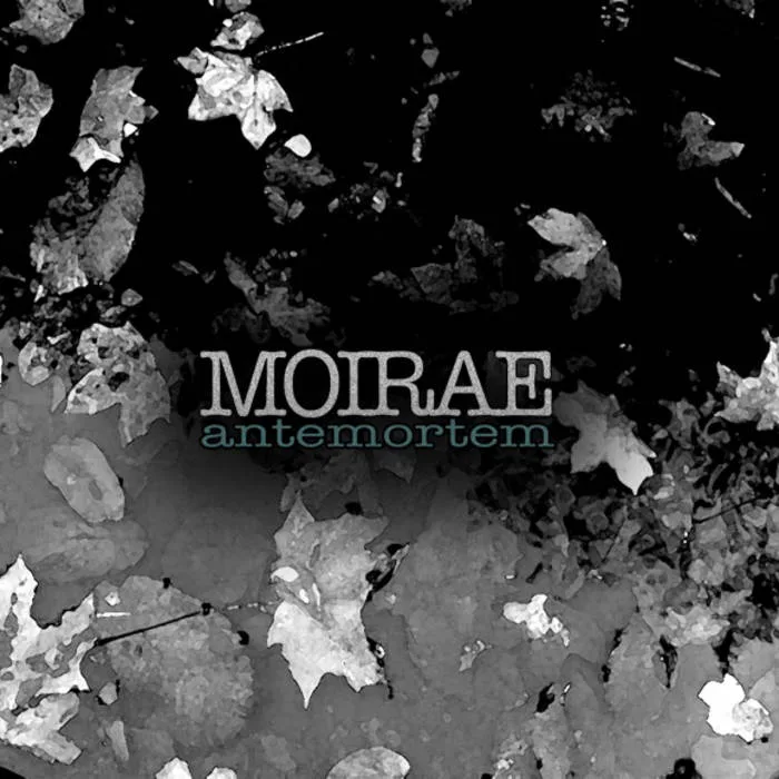 The Vibrant Idea of Happiness cover