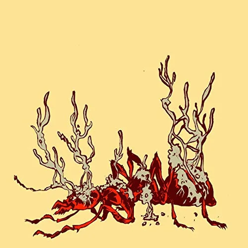 Tahdon ihmeet takaisin cover