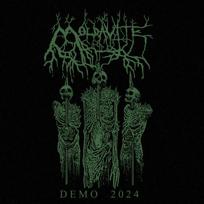 Demo 2024 cover