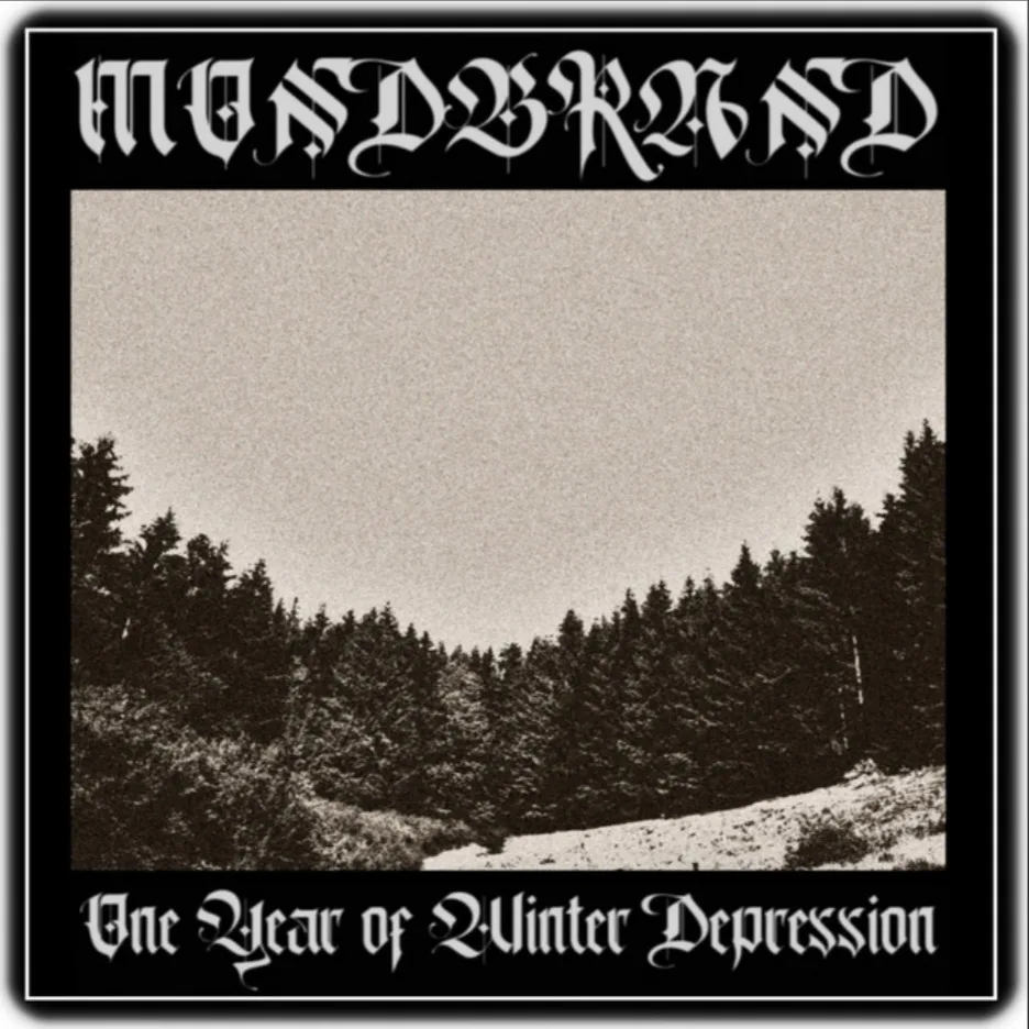 One Year of Winter Depression cover