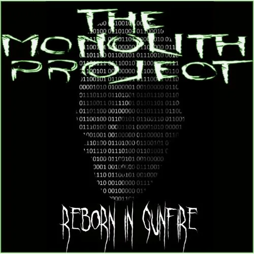 Reborn in Gunfire cover