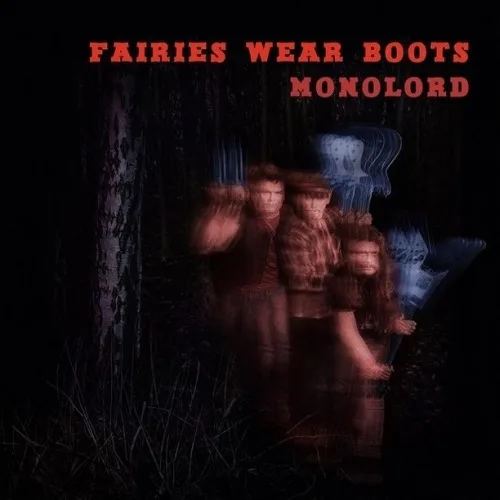 Fairies Wear Boots cover