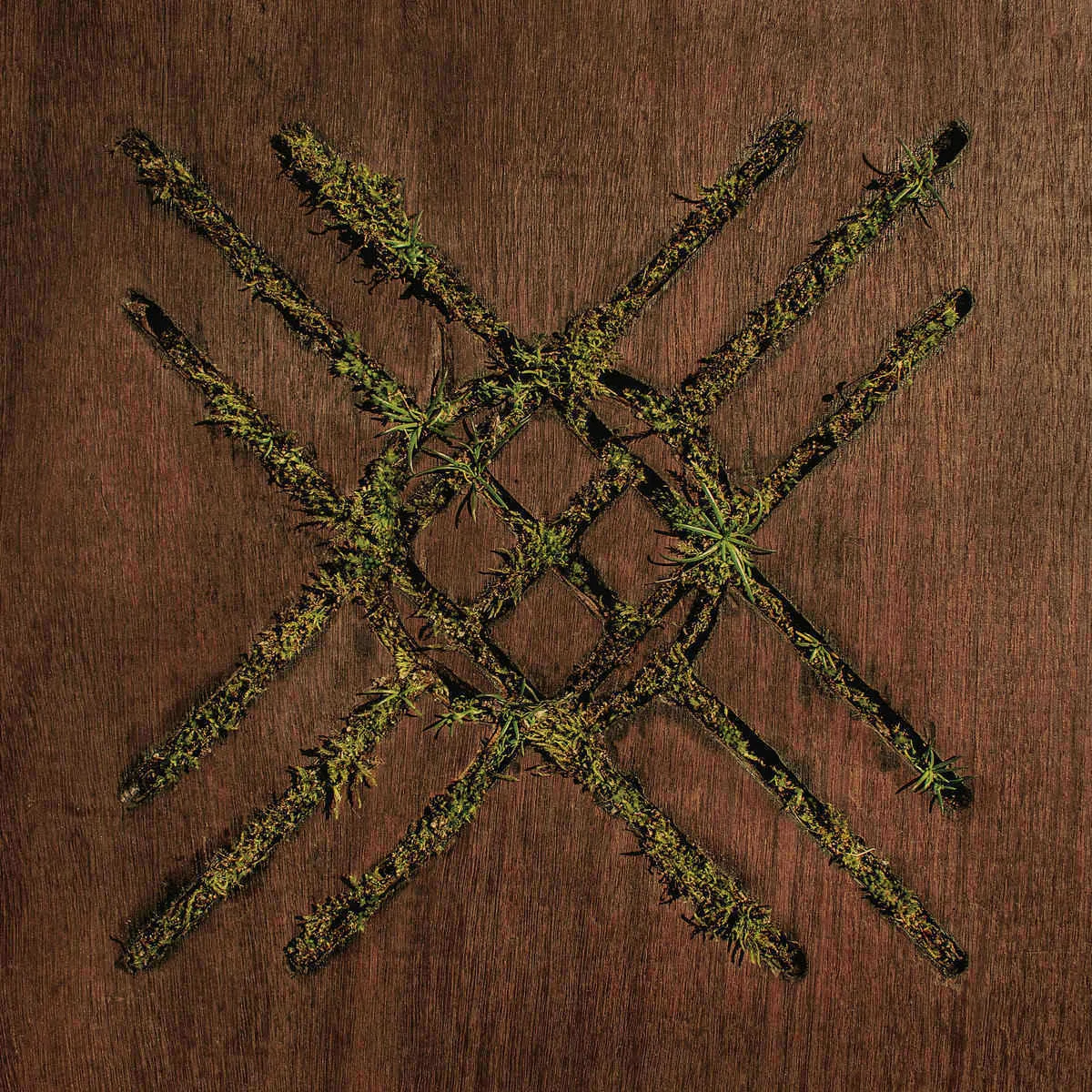 Violent Grief: Acoustic Selections cover