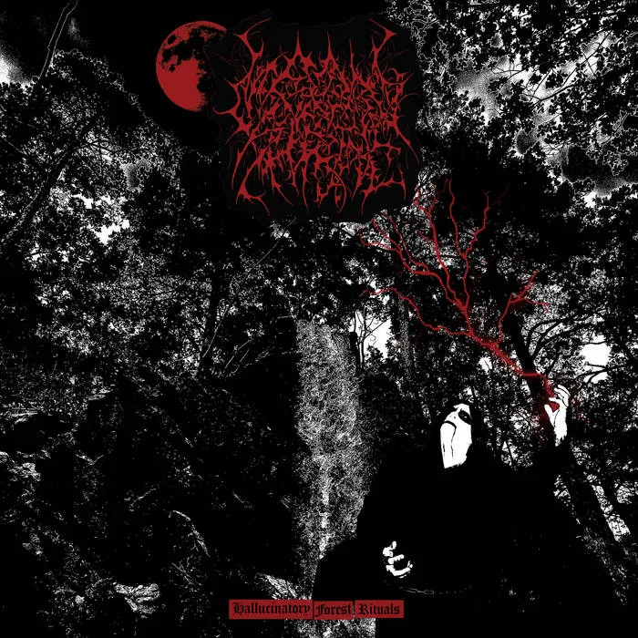 Hallucinatory Forest Rituals cover