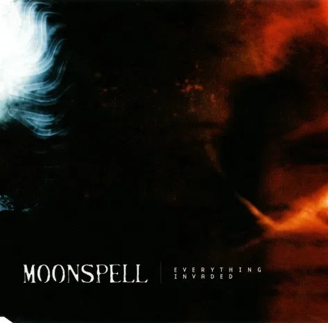 Everything Invaded cover