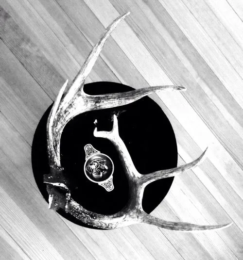 Where No Sun Shines cover