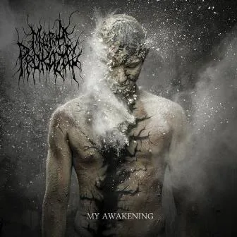 My Awakening cover