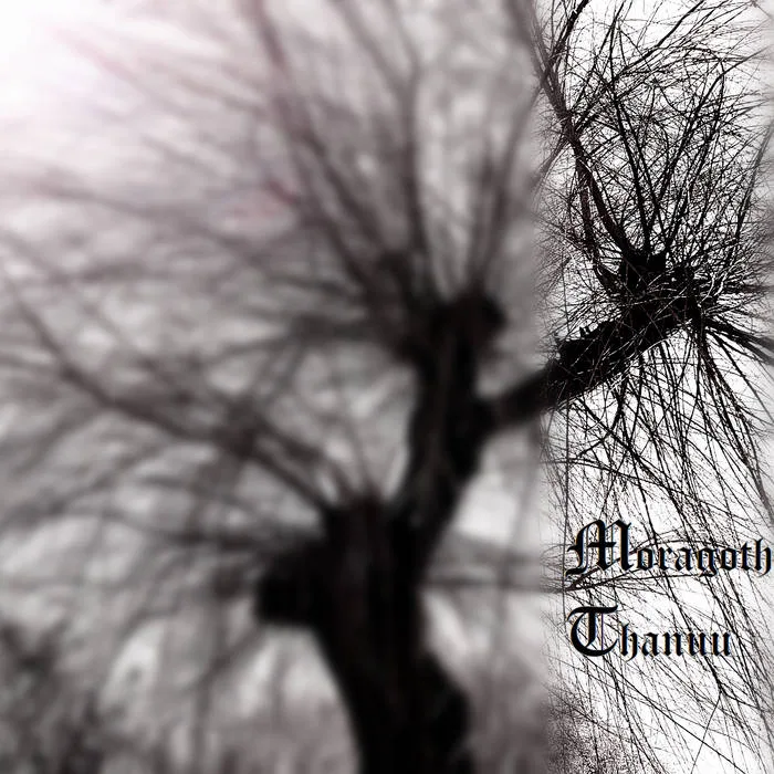 The Forest Bleak cover