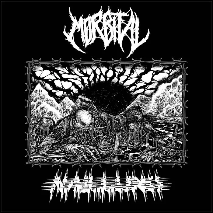 Morbital | Naillung cover