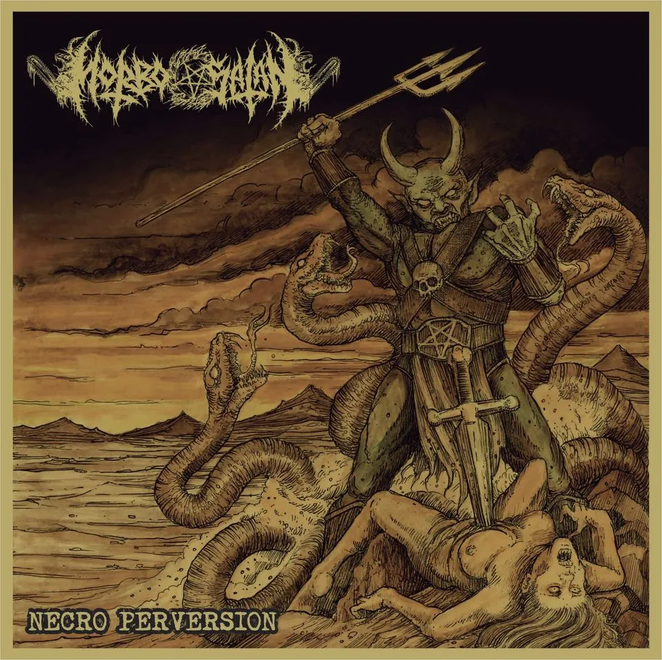 Necro Perversion cover