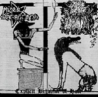 Explicit Behavior of Hate cover