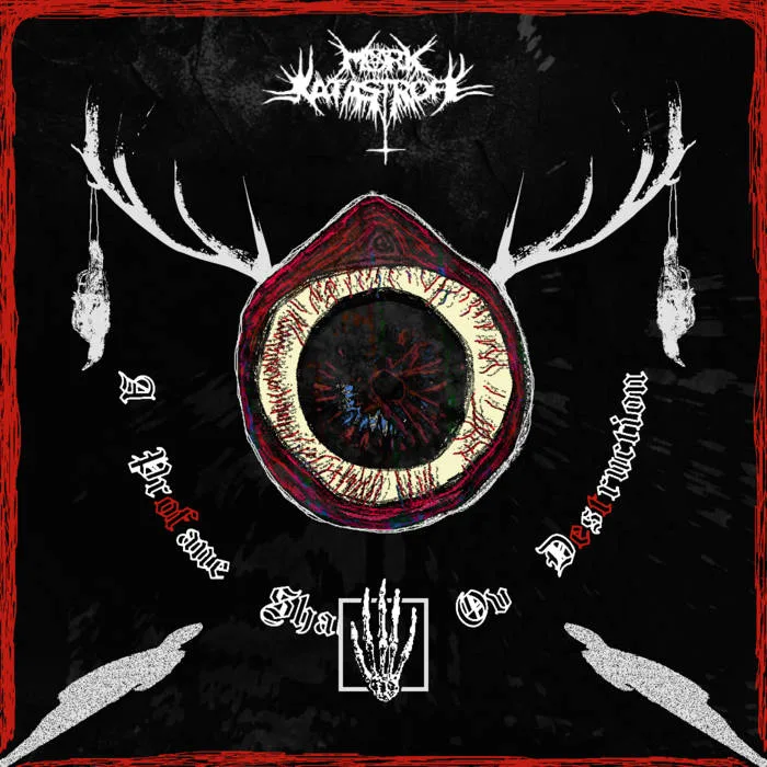 A Profane Shadow ov Destruction cover