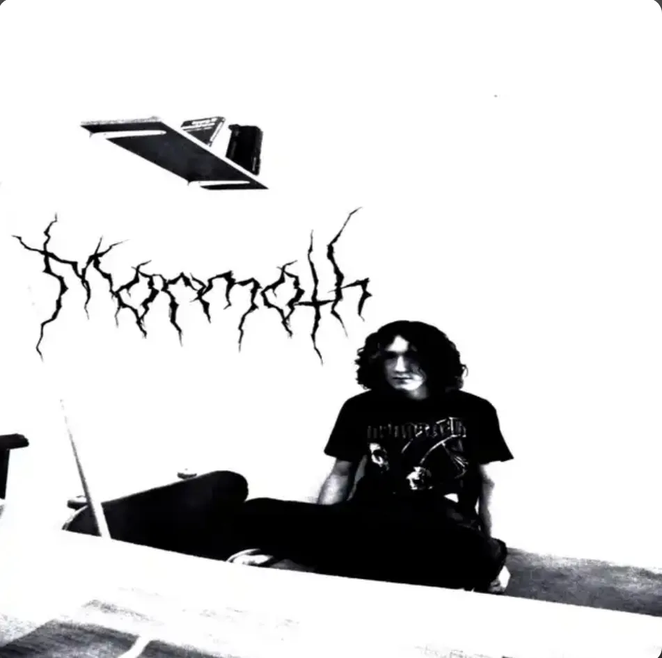 Lumini Veriatis cover