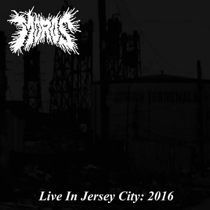 Live in Jersey City: 2016 cover