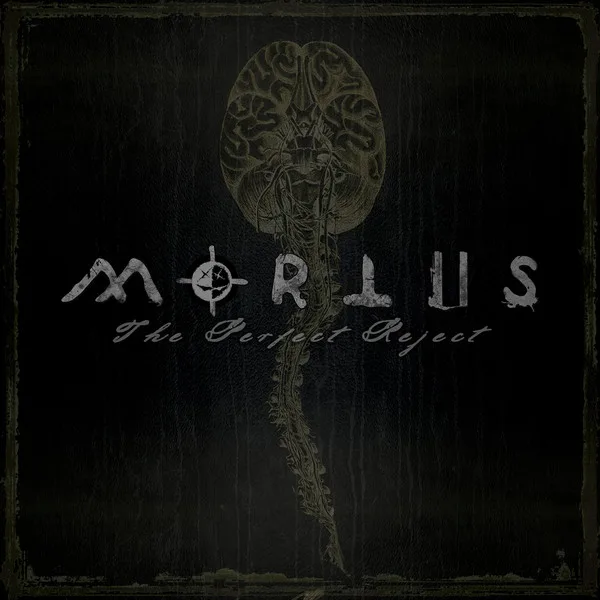 The Perfect Reject cover