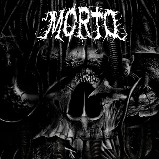 Morto cover