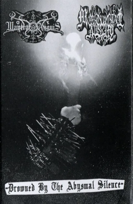 Drowned by the Abysmal Silence cover