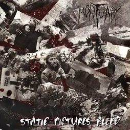 Static Pictures Bleed cover