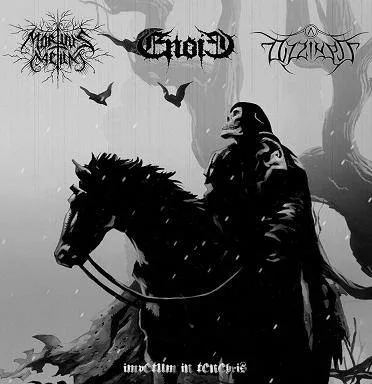 Impetum in Tenebris cover