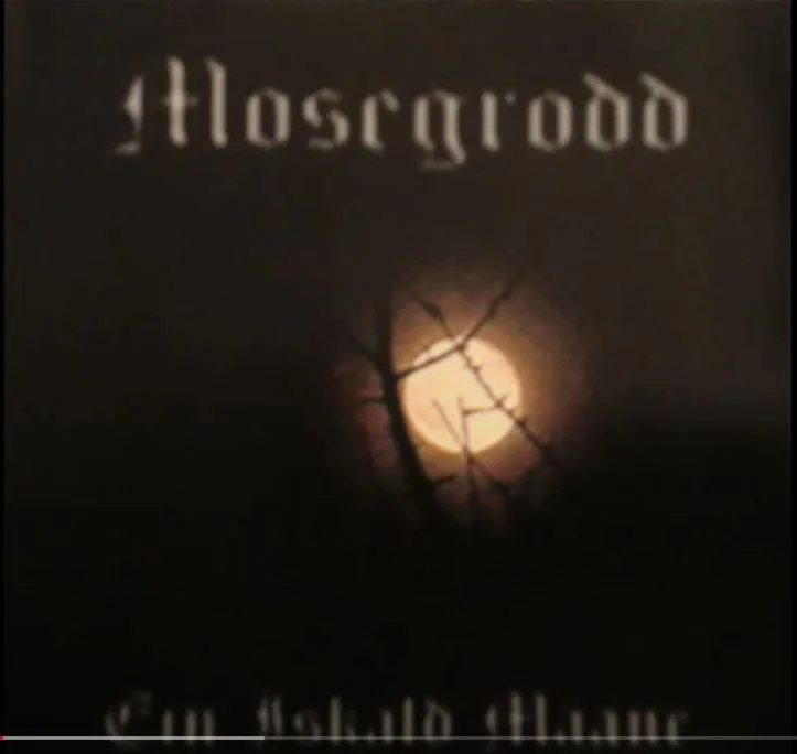 Ein Iskald Maane cover