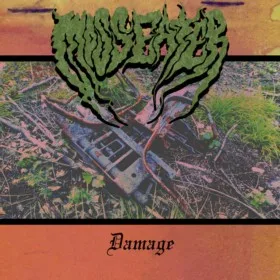 Damage cover