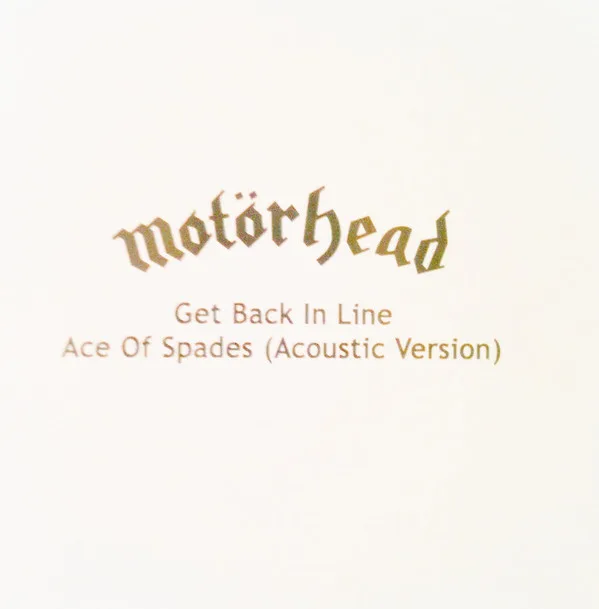 Get Back In Line / Ace of Spades (acoustic version) cover