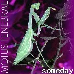 Someday cover