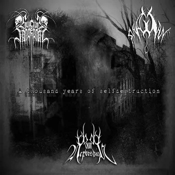 A Thousand Years of Selfdestruction cover