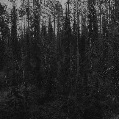 And the Corpse... cover