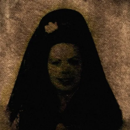 The Dream of the Flesh cover