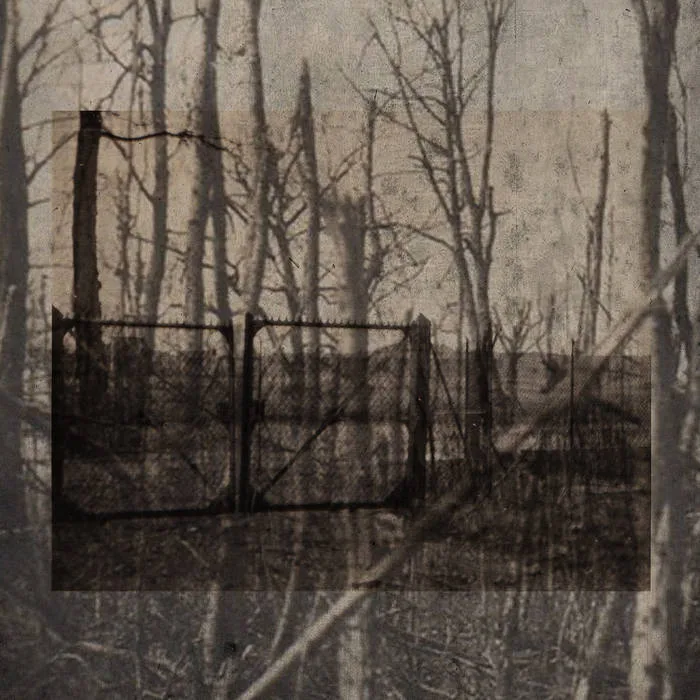 Life's Meaning cover