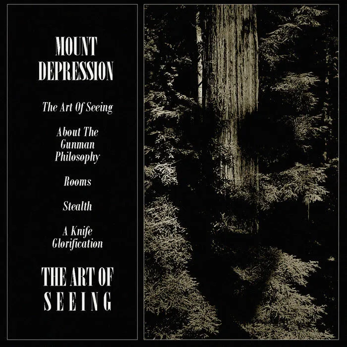 The Art of Seeing cover