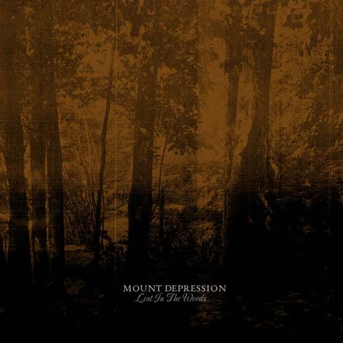 Lost in the Woods cover