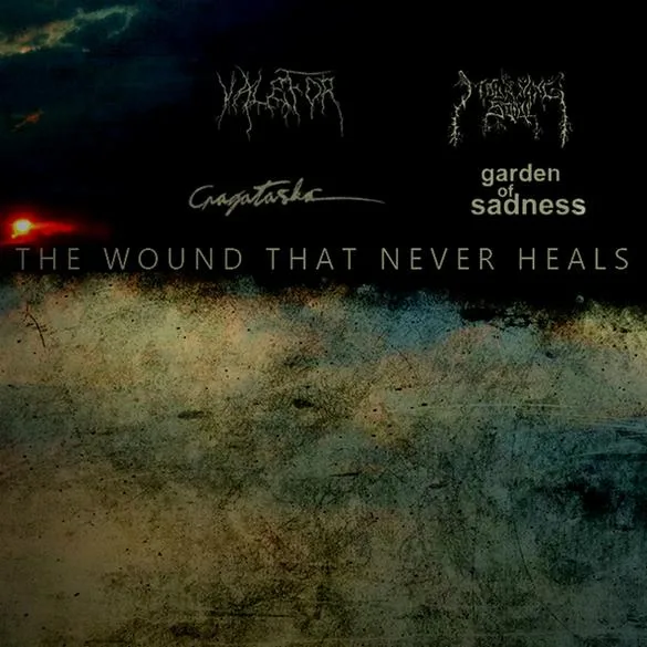 The Wound That Never Heals cover