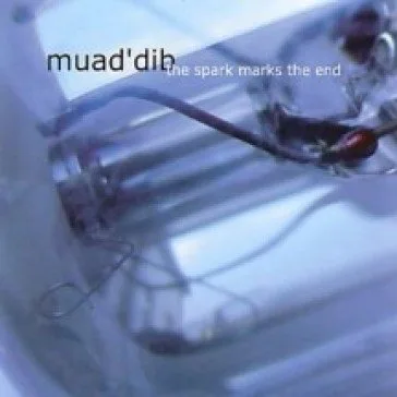 The Spark Marks the End cover