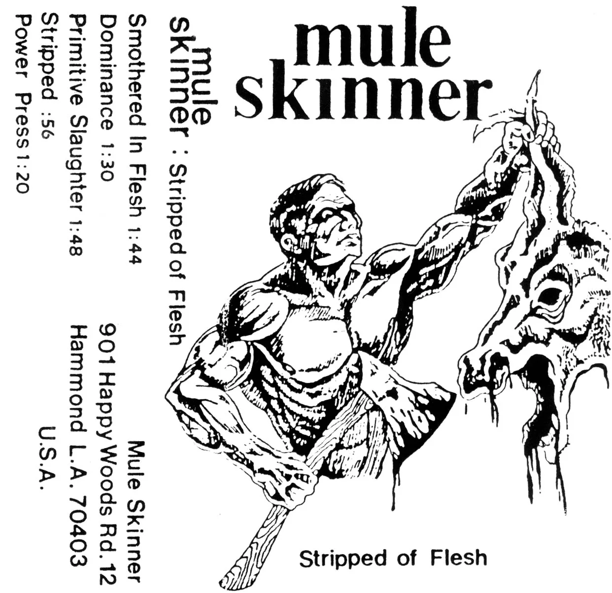 Stripped of Flesh cover