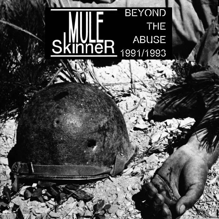 Beyond the Abuse 1991/1993 cover
