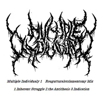 Multiple Individualy 1 (Rougutturalotslamentomy mix) cover