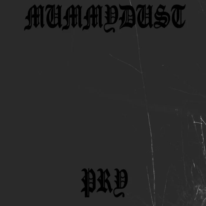 Pry cover