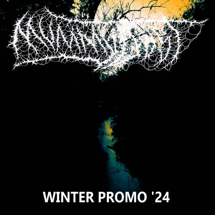 Winter Promo '24 cover