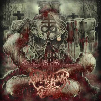 Realms of Derangement cover
