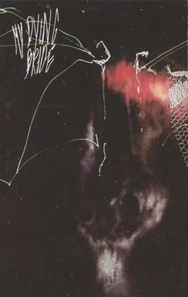 Towards the Sinister cover