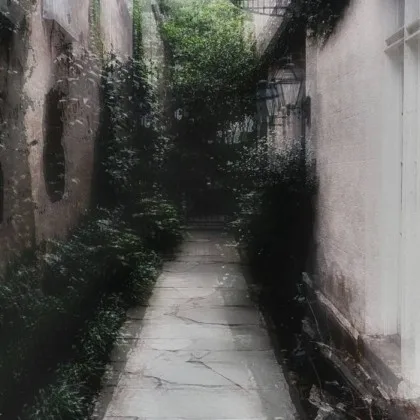 Both Paralyzed cover