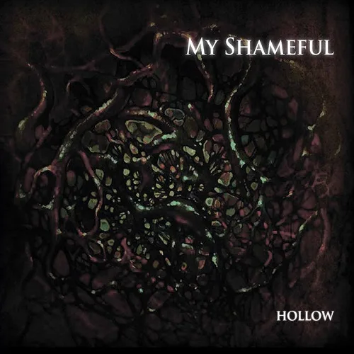 Hollow cover